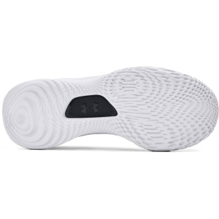 Баскетболни обувки Унисекс CURRY 4 FLOTRO Under Armour 