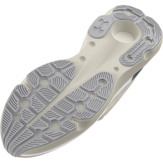 Спортни обувки Мъже INFINITE PRO COOL DOWN Under Armour 