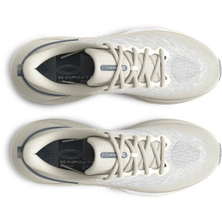 Спортни обувки Мъже INFINITE PRO COOL DOWN Under Armour 