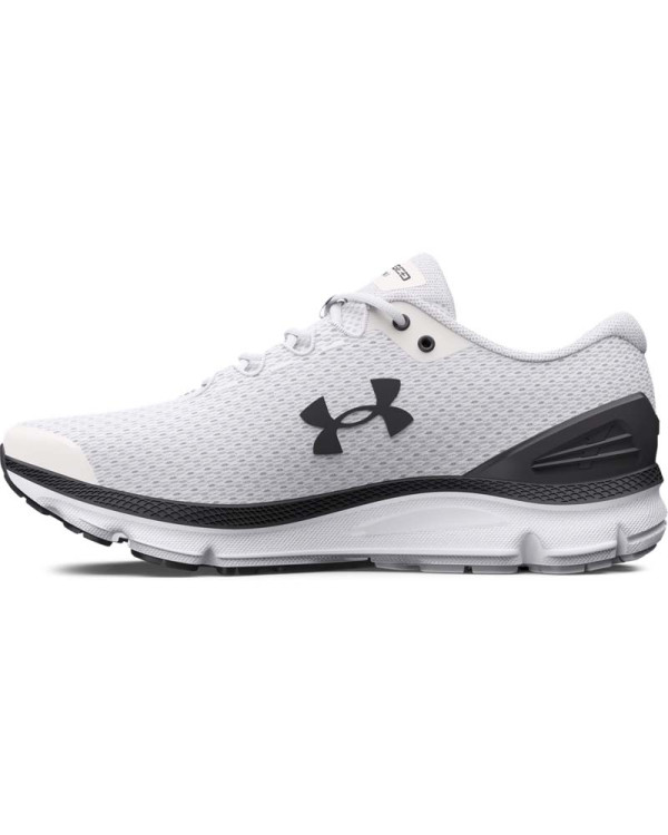 Спортни обувки Мъже CHARGED GEMINI 2020 NM Under Armour 