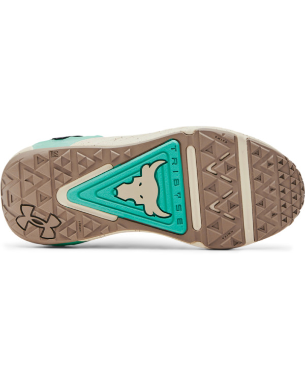 Спортни обувки Жени  PROJECT ROCK 6 Under Armour 